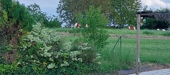 SMALL COUNTRY HOUSE