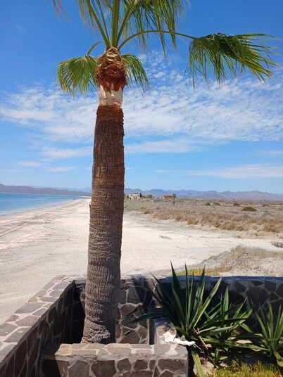 Beachfront Private 3-Bedroom House in Beautiful Punta Chivato with AC & Starlink