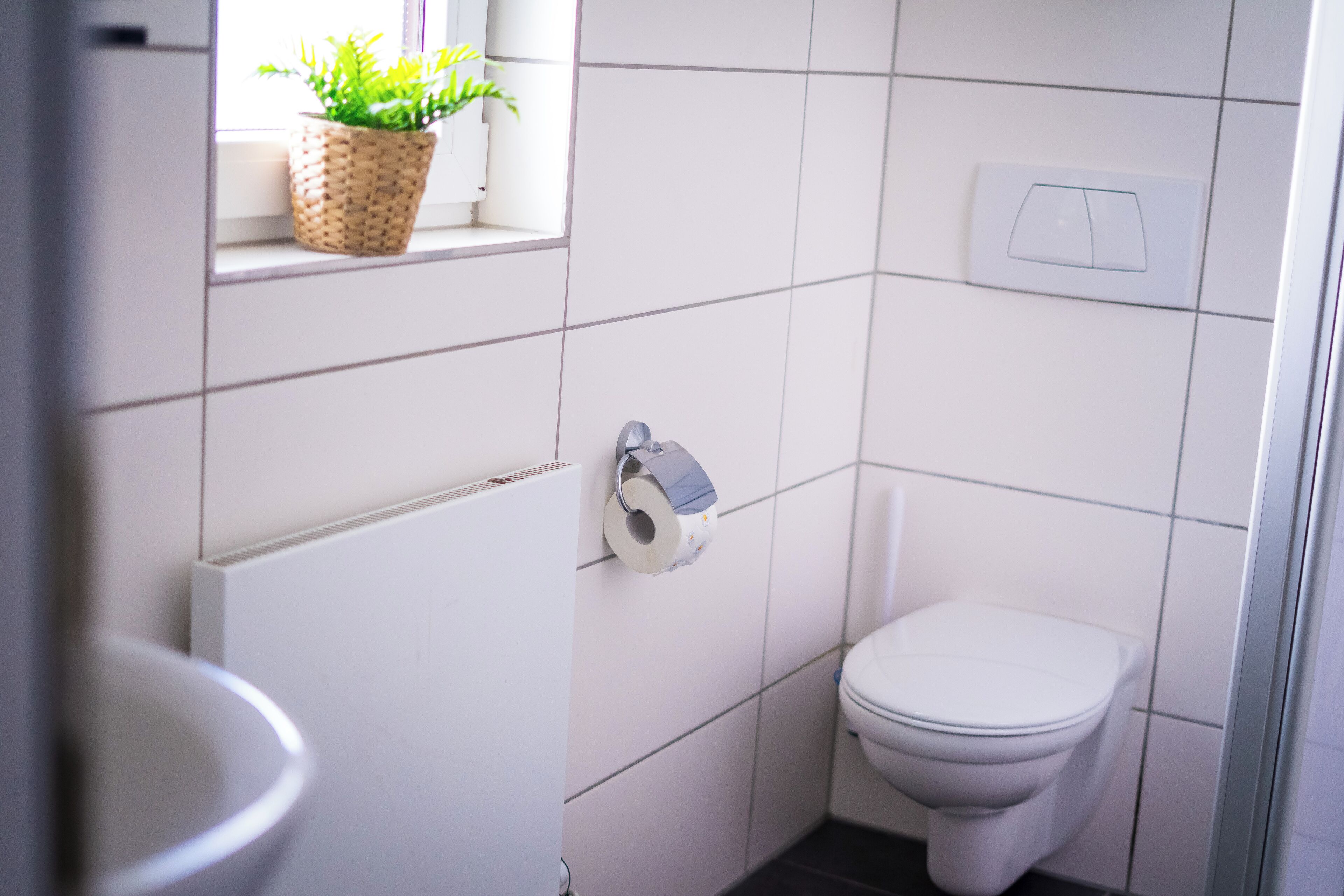 Haartrockner, Handtücher, Seife, Toilettenpapier