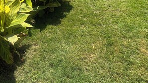 Un'area verde ben curata con una fila di edifici moderni sullo sfondo.