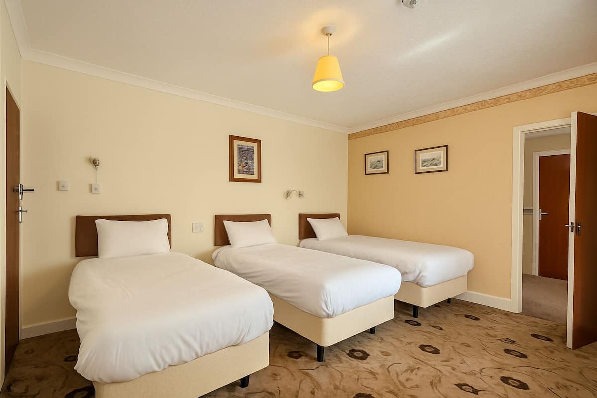 Standard Triple Room | Desk, free WiFi