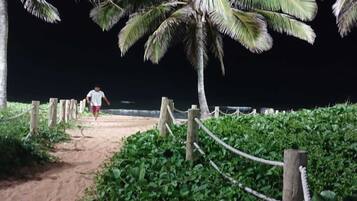 Un sendero de tierra que lleva a una playa, rodeado de exuberante vegetación y palmeras.