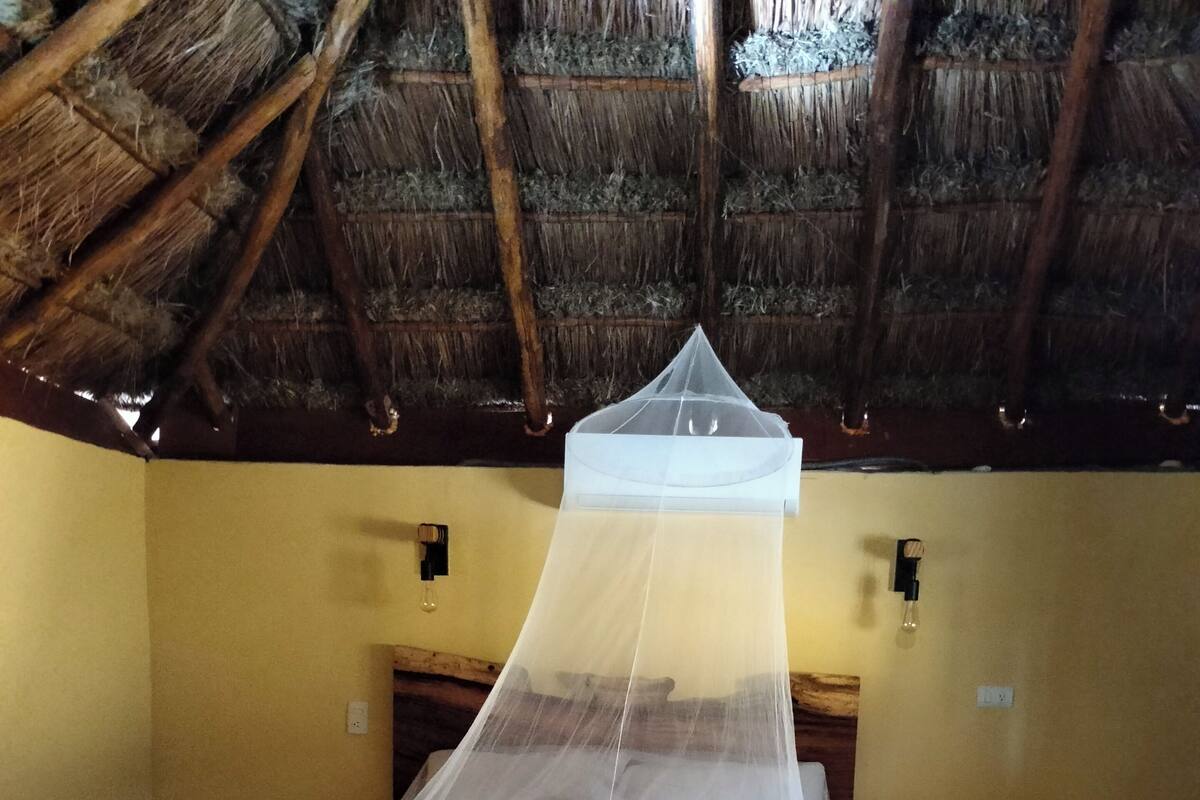 A bed with a mosquito net, a wooden headboard, and a nightstand with bottles.