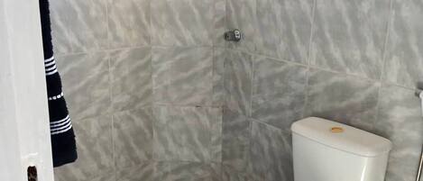 Shower, hair dryer, towels, toilet paper