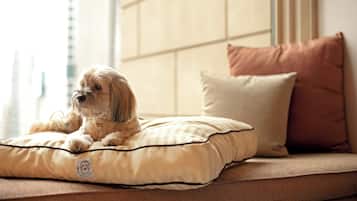 A dog lying on a beige pet bed with a cushion on a sofa.