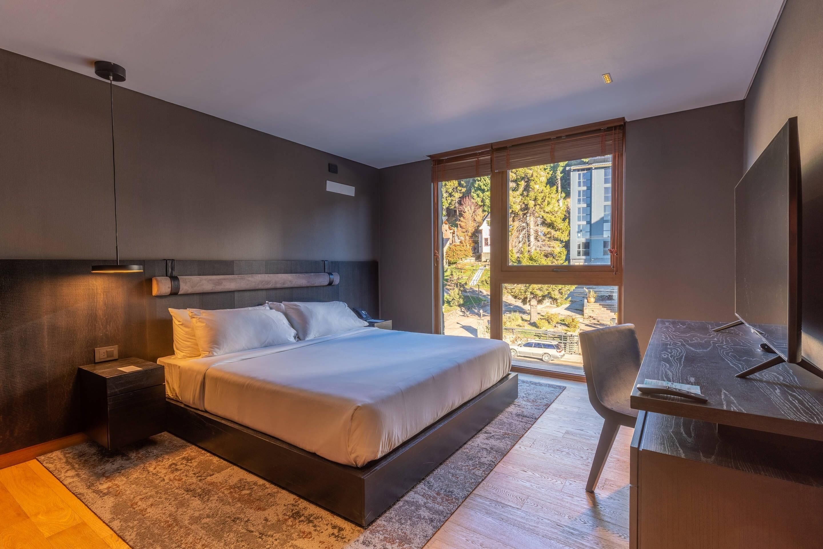 Room, 1 King Bed, Accessible, Non Smoking