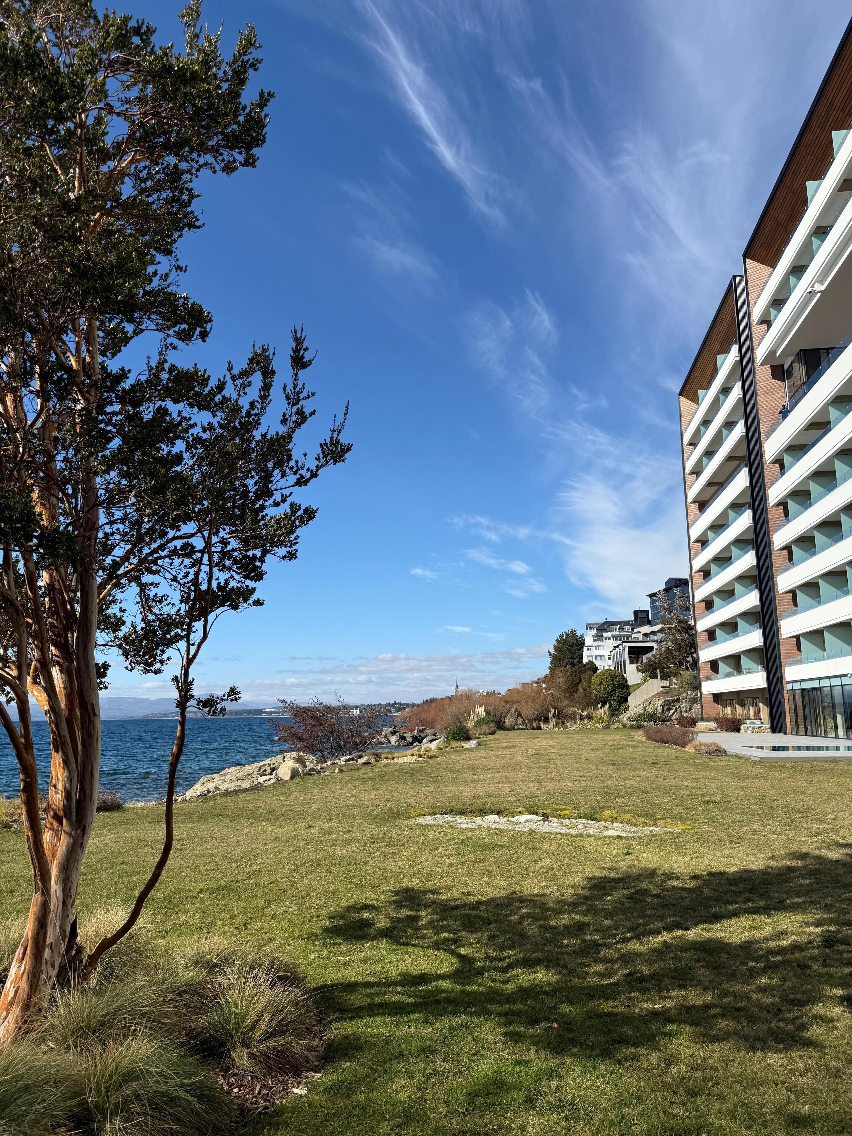 A modern building with a grassy lawn and a tree in the foreground.