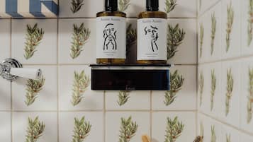 Shower, free toiletries, hair dryer, soap