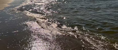 海灘