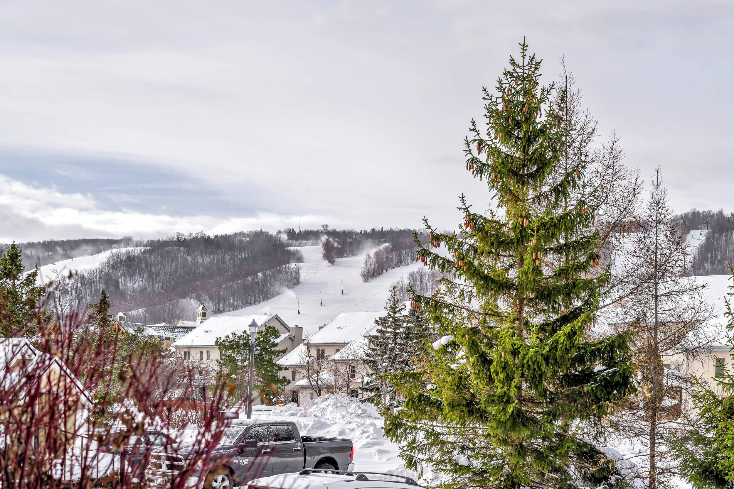 Un barrio residencial con casas cubiertas de nieve y un imponente árbol de hoja perenne.