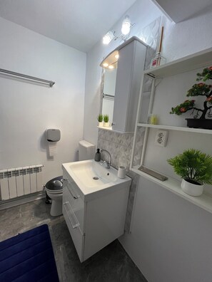 Sèche-cheveux, serviettes fournies, savon, papier toilette
