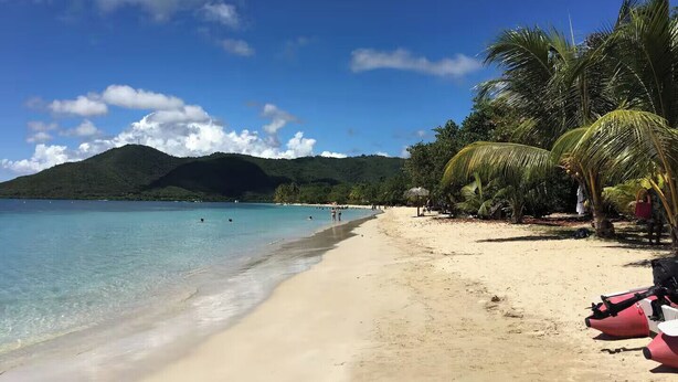 A beach with clear turquoise water, a sandy shore, and palm trees. - Villa with sea view in the heart of Sainte-Anne (Martinique)