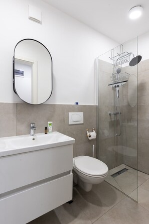 Shower, hair dryer, towels