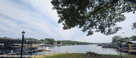 Terras
