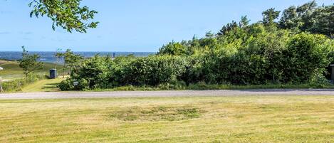 Un champ verdoyant avec une route, des arbres et une vue lointaine sur l’océan.