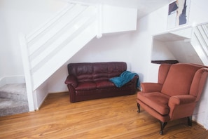 TV connectée, cheminée, livres