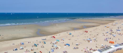 Beach nearby, fishing