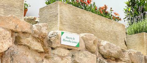 الإطلالة من المنشأة