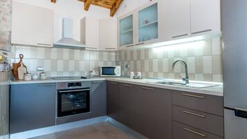 House (Holiday Home Stari Dvori) | Private kitchen | Fridge