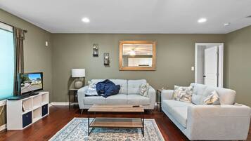 Fernseher, Arbeitsbereiche