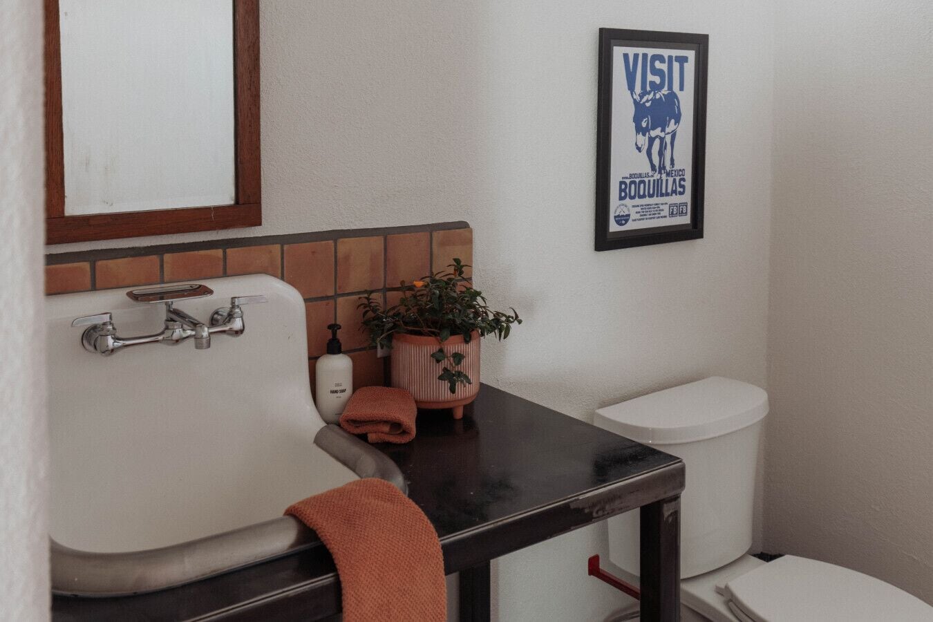 A bathroom with a sink, mirror, and toilet. There is a framed poster on the wall and a plant on the sink.