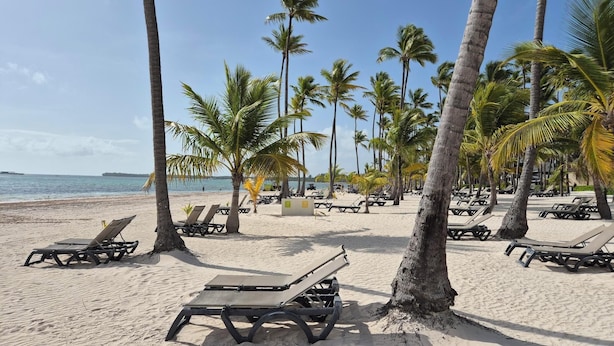 A beach with rows of sun loungers and palm trees, a clear sky, and a calm sea.