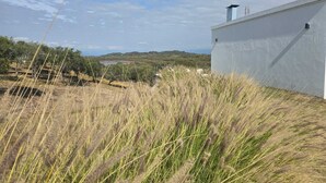 A white building with a chimney, surrounded by tall grass and trees, overlooking a hilly landscape. - "PARADISE". (Coronel Moldes)