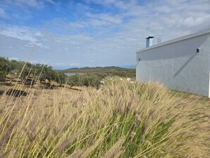 Property grounds - "PARADISE". (Coronel Moldes)