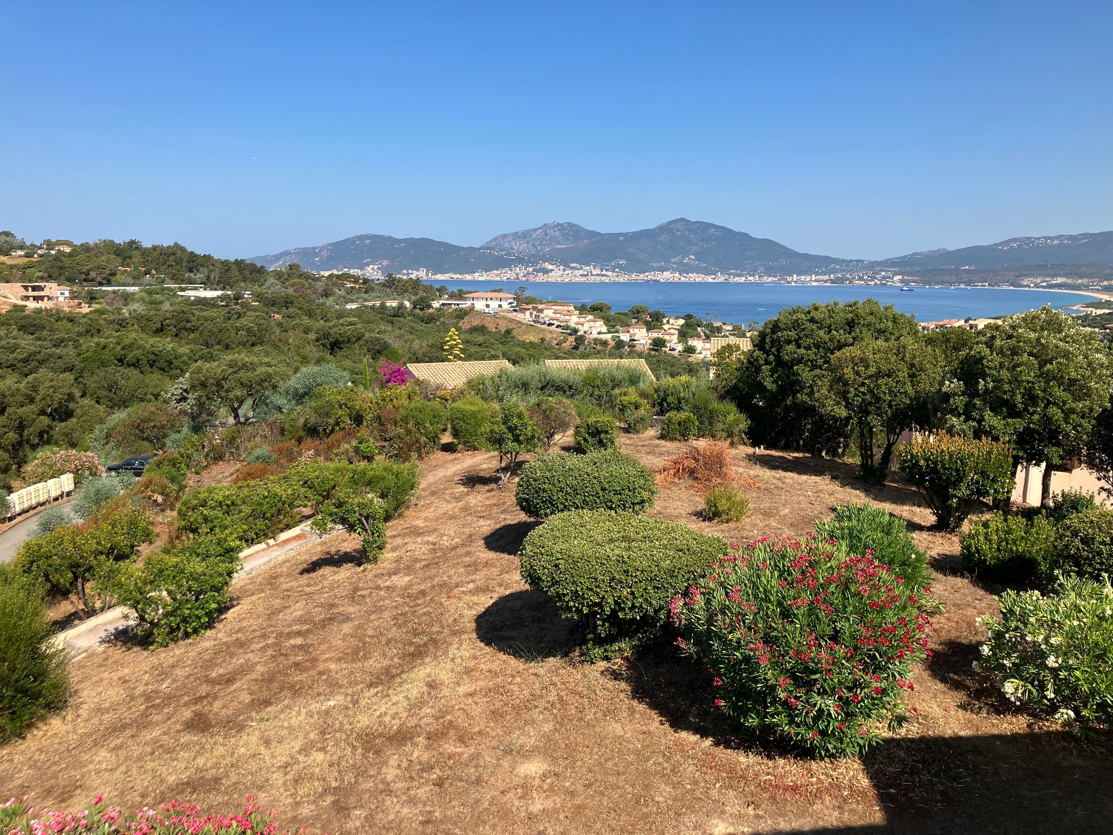 Un jardín en la ladera con una variedad de plantas y una vista despejada de un pueblo costero y montañas a lo lejos.