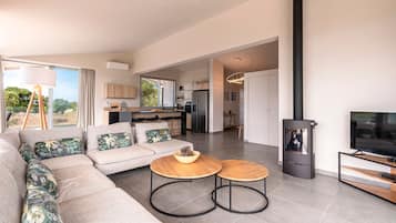 Télévision, cheminée