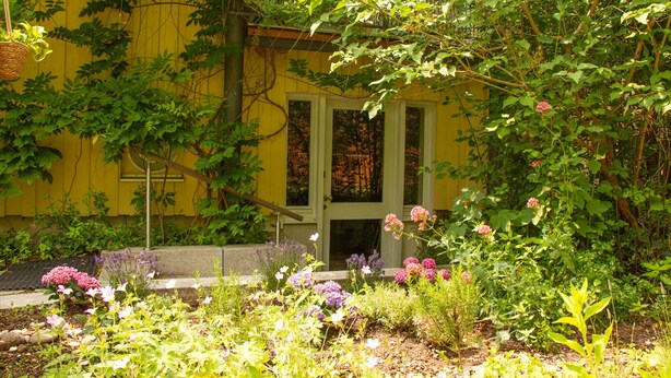 Ein gelbes Gebäude mit Tür und Fenstern, umgeben von einem Garten mit verschiedenen Pflanzen und Blumen.