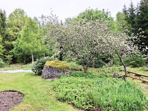 A garden with a large tree, a moss-covered rock, and various green plants.