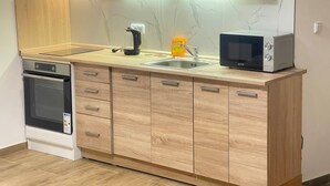 A compact kitchen with wooden cabinets, a built-in oven, a microwave, and a sink. - Tony's homestay in Strakonice 1+KK (Jihočeský kraj)