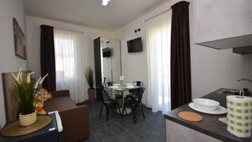 Een moderne woonkamer met een bank, eettafel, stoelen en een keuken met een spoelbak en aanrecht.