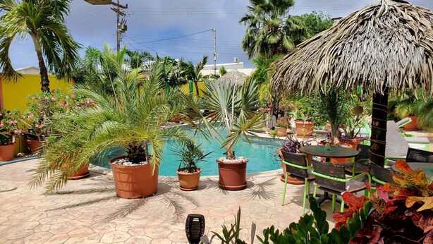 Un espace aménagé au bord de la piscine, avec des plantes en pot, un parasol en chaume et des sièges d’extérieur.