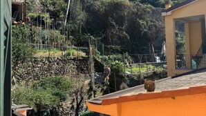A hillside with a stone wall and a yellow building. - Pippo a vernazza rooms (Vernazza)