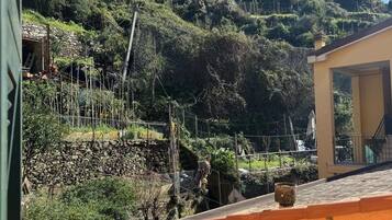 Basic Double Room, Mountain View | Mountain view