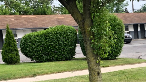 A residential area with a well-maintained lawn, a tree, and a building with a brown roof.