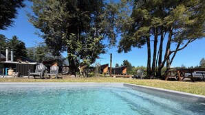 Une piscine à l’eau claire, entourée d’arbres et dotée d’un espace de détente extérieur.