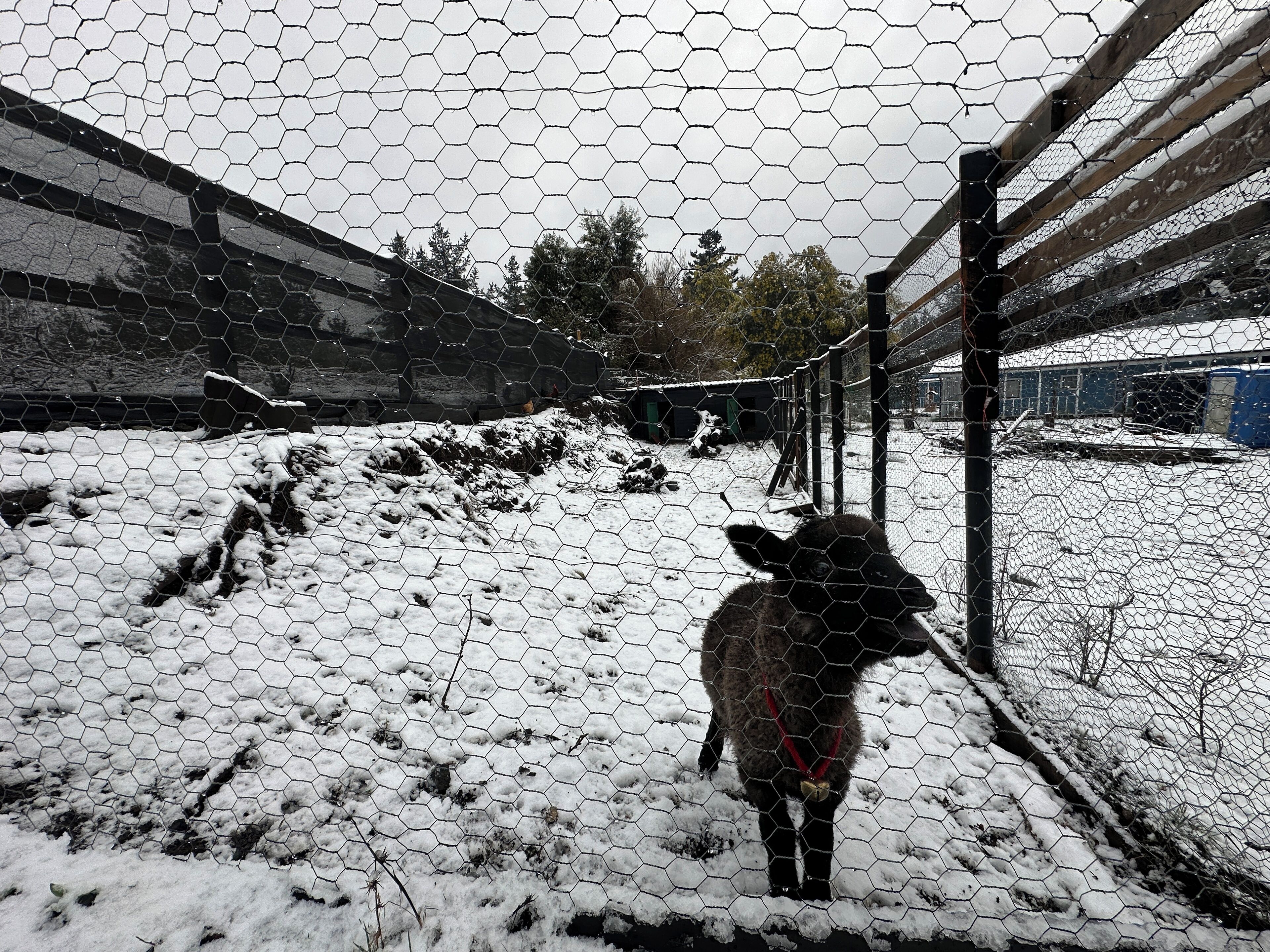 Actividades infantiles