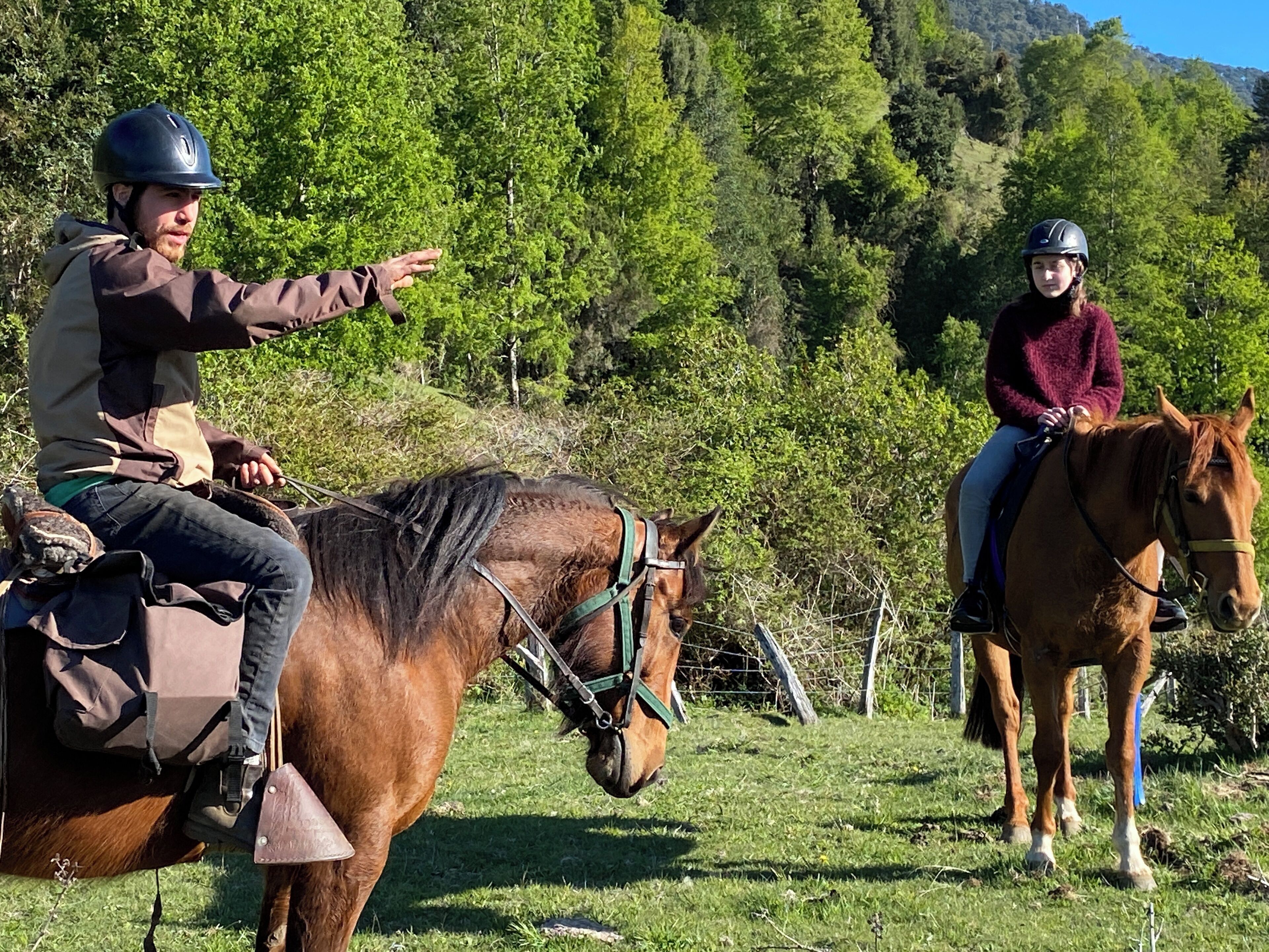 Deux personnes à cheval se trouvent dans une zone herbeuse, avec des arbres en arrière-plan.