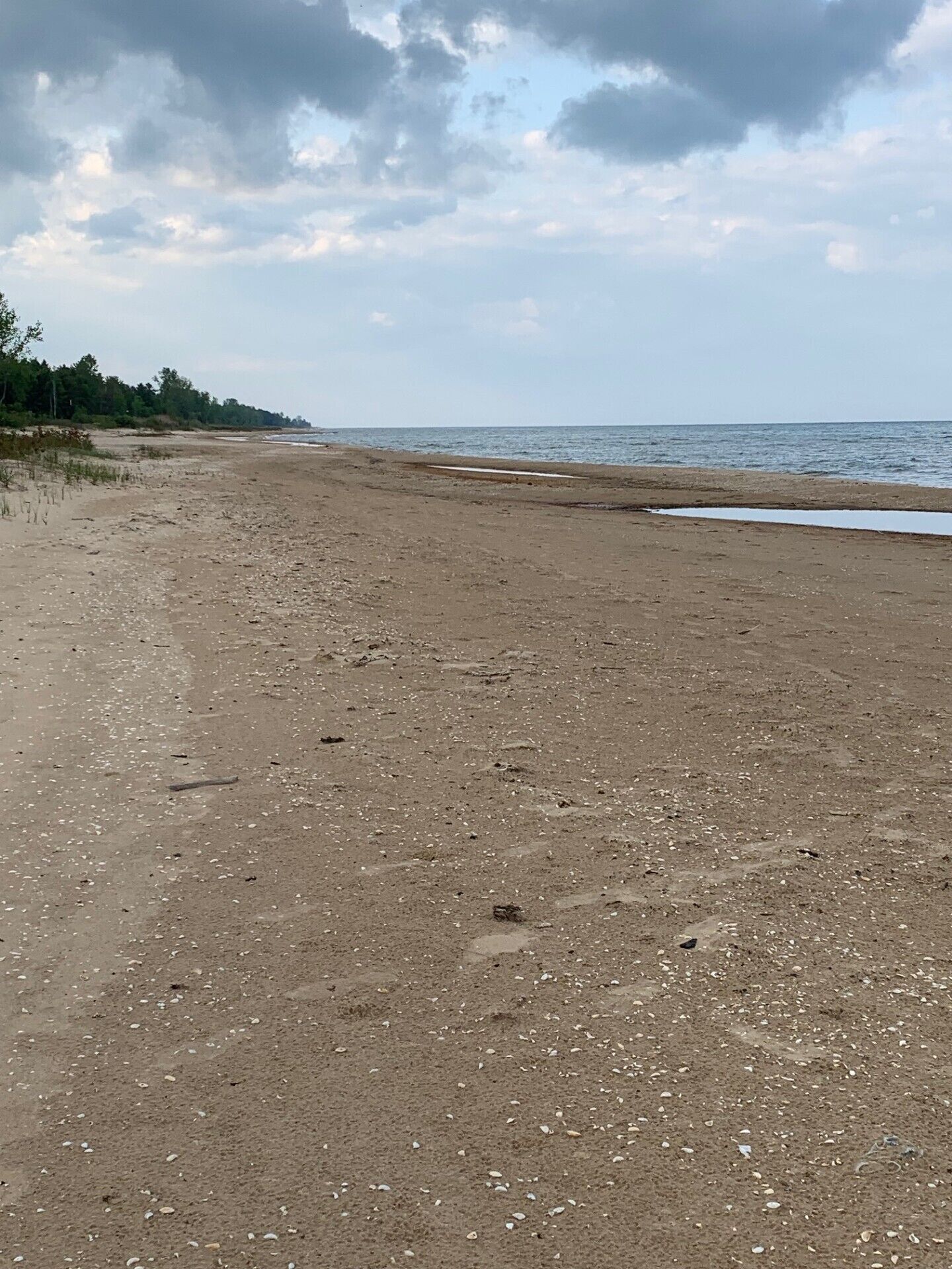 Ein Strand mit weitem Sandstrand und ruhiger See unter einem bewölkten Himmel.