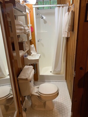 Shower, towels, toilet paper