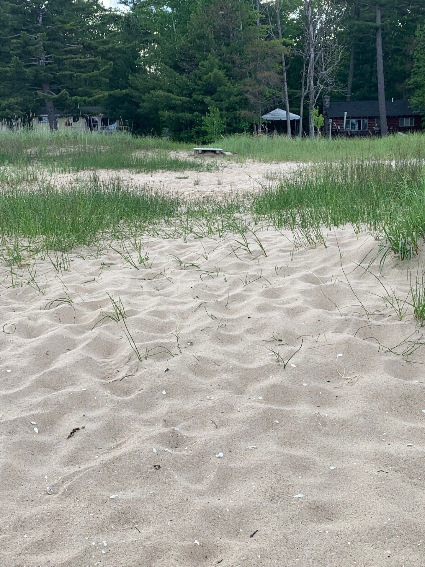Una playa arenosa con escasa hierba y una pequeña construcción de madera al fondo.