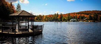 Iris - Big Moose Lakeside