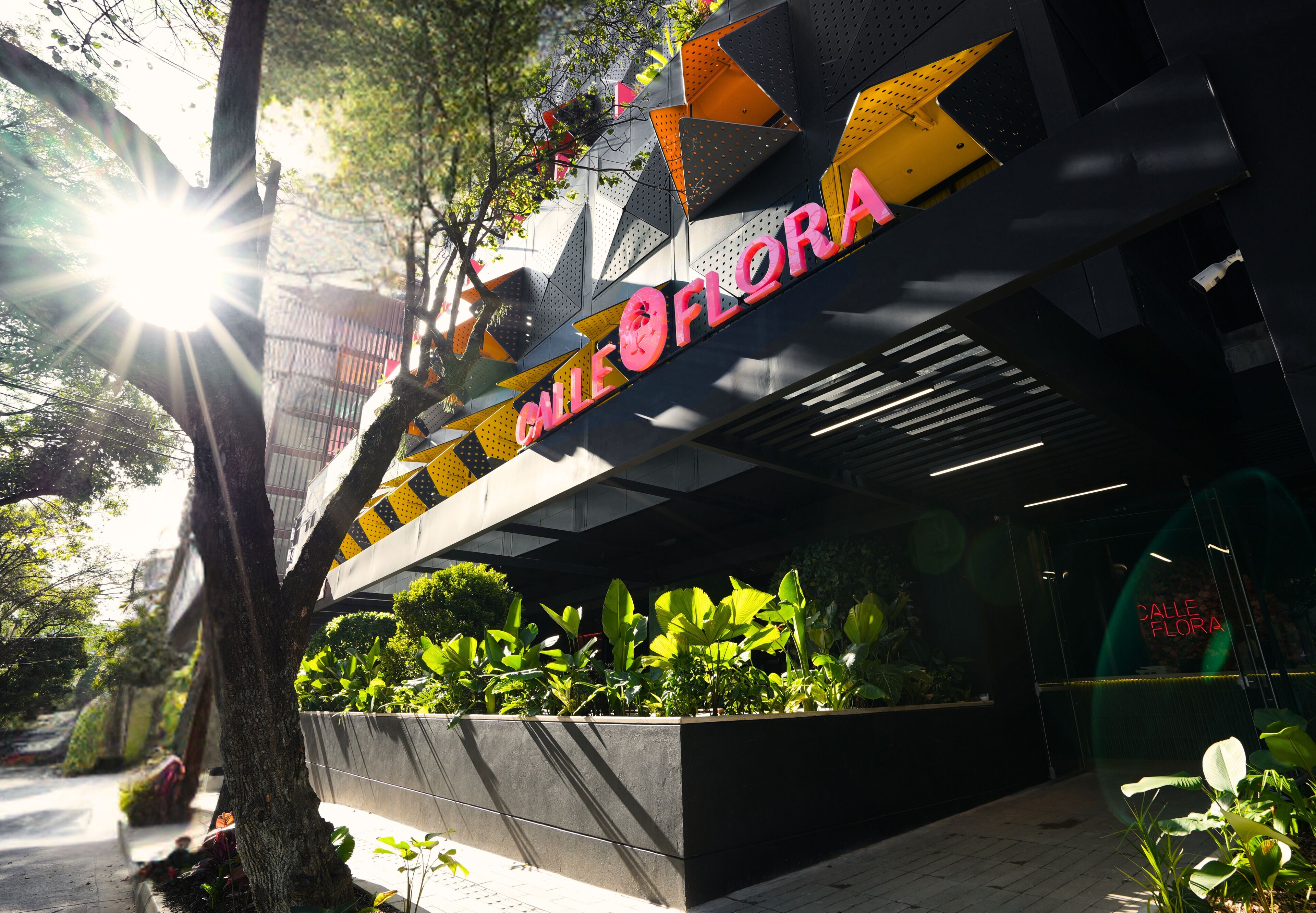 Foto - Calle Flora Hotel by Jalo