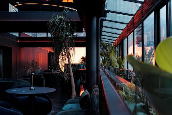 Terraza en la azotea