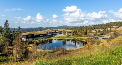 Stunning view, ski-in/ski-out, 3 bedrooms – Valdres