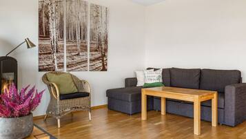 Een televisie en een open haard