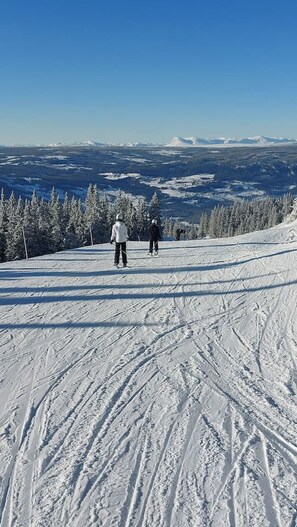 Wintersport/Ski